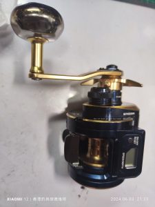 Daiwa saltiga