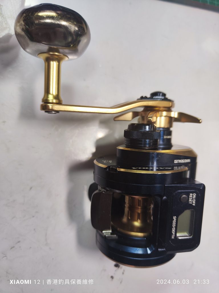 Daiwa saltiga